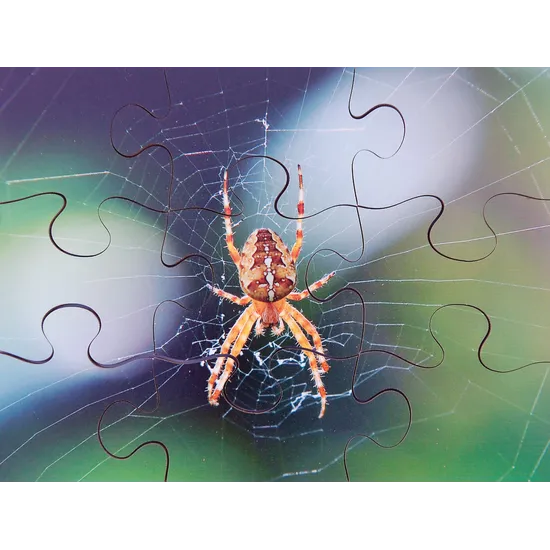 Mini Beasts Puzzles Set of 8 - Modern Teaching Aids NZ