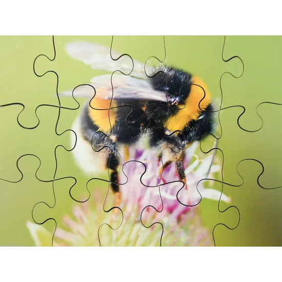 Mini Beasts Puzzles Set of 8 - Modern Teaching Aids NZ