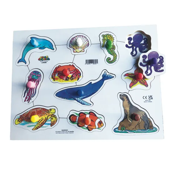 Assorted Peg Puzzle Set of 4 - Modern Teaching Aids NZ