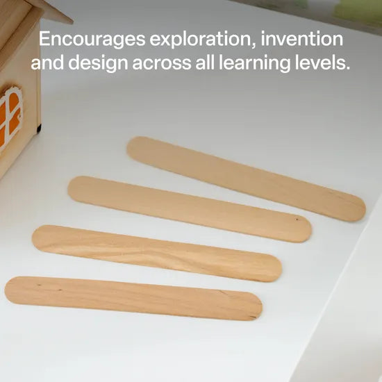 Jumbo Pop Sticks - Pack of 100 - Modern Teaching Aids NZ