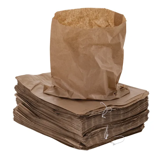 Kraft Paper Bag - Pack of 500 - Modern Teaching Aids NZ