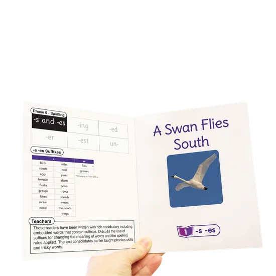 Fix Its Suffixes Non-Fiction Phase 6 - Modern Teaching Aids NZ