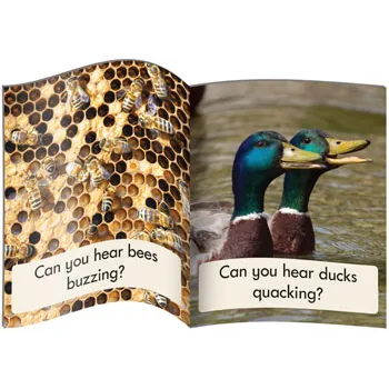 Decodable Reader - Phonics Non-Fiction Phase 3 (Se - Modern Teaching Aids NZ