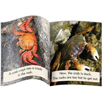 Decodable Readers - Blend Non-Fiction Phase 4 - Modern Teaching Aids NZ