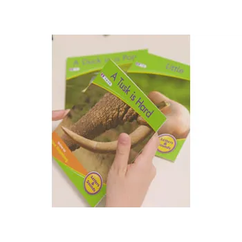 Decodable Readers - Blend Non-Fiction Phase 4 - Modern Teaching Aids NZ