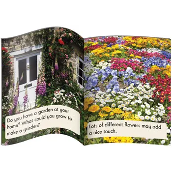 Decodable Readers - Vowel Sound Non-Fiction Phase - Modern Teaching Aids NZ