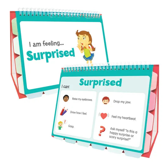 Feelings Flip Chart - Modern Teaching Aids NZ