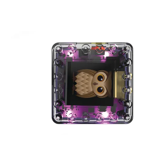 KaiBot - Hybrid Coding Robot - Modern Teaching Aids NZ