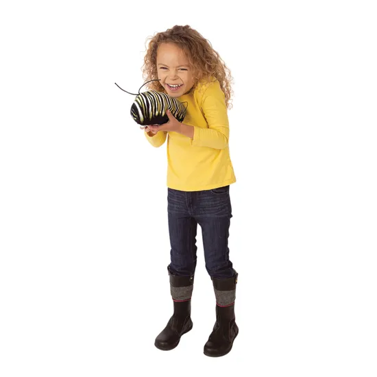 Monarch Butterfly Life Cycle Puppet - Modern Teaching Aids NZ