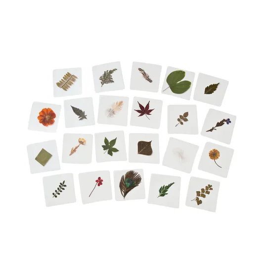 Pressed Feathers Plants & Leaves - 22 pieces - Modern Teaching Aids NZ