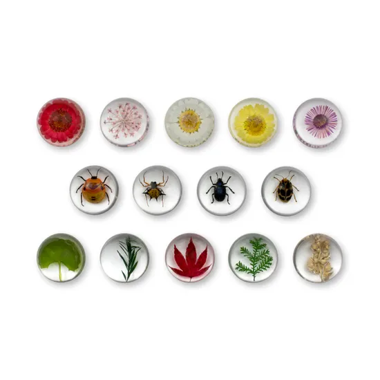 Mini Beast Pebbles Bugs and Plants - Modern Teaching Aids NZ