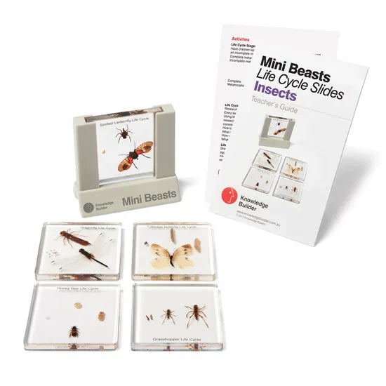 Mini Beasts Life Cycle Slides & Viewer - Insects - Modern Teaching Aids NZ