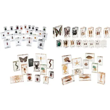 Mini Beasts Complete Set - Modern Teaching Aids NZ