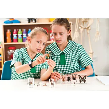 Mini Beasts Complete Set - Modern Teaching Aids NZ