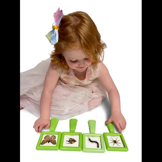 Mini Beasts Specimen Viewer with Handle - Pack of 4 - Modern Teaching Aids NZ