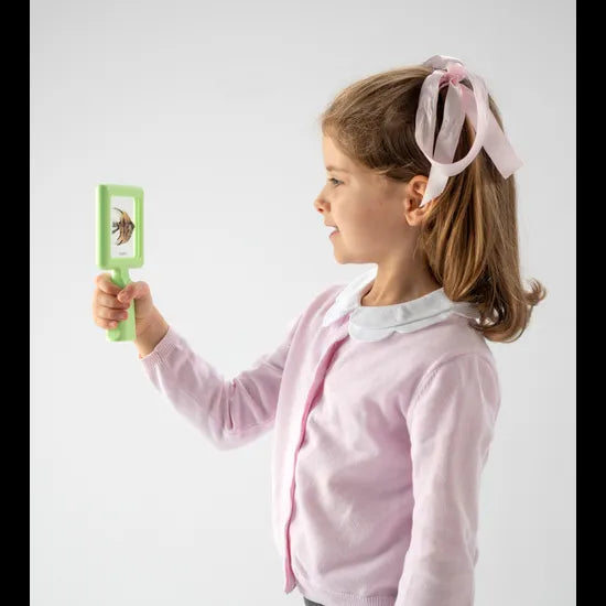 Mini Beasts Specimen Viewer with Handle - Pack of 4 - Modern Teaching Aids NZ