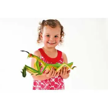 Large Insects - Set of 12 - Modern Teaching Aids NZ