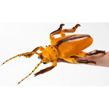 Large Insects - Set of 12 - Modern Teaching Aids NZ