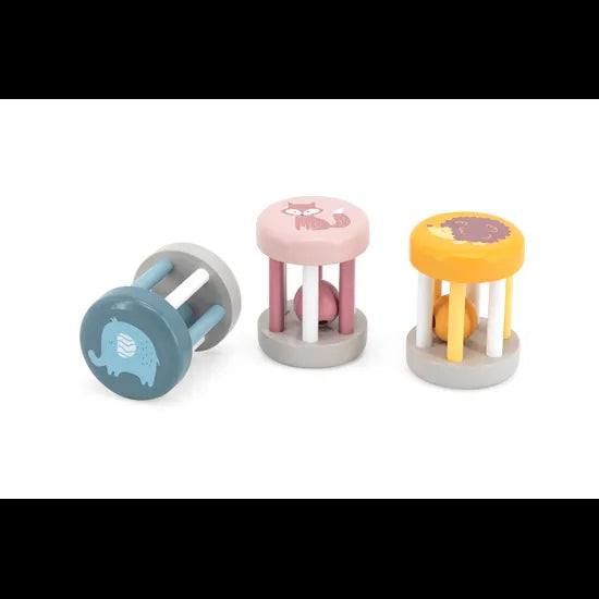 Assorted Cage Rattle PK12 - Modern Teaching Aids NZ