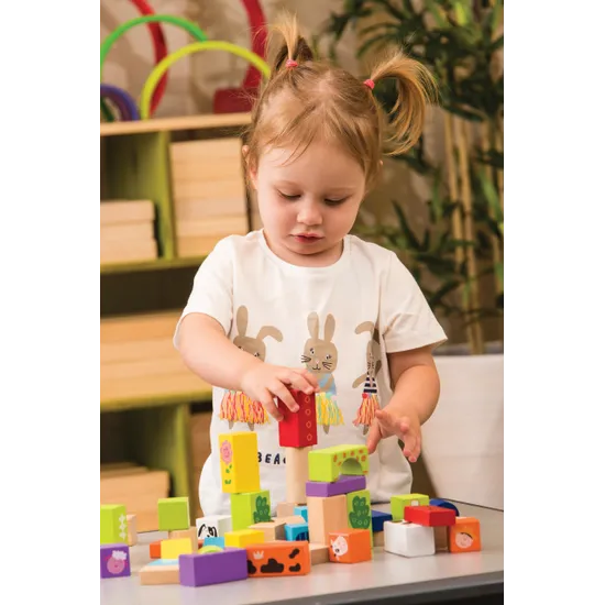 Farm Wooden Blocks Set - 50 Pieces - Modern Teaching Aids NZ