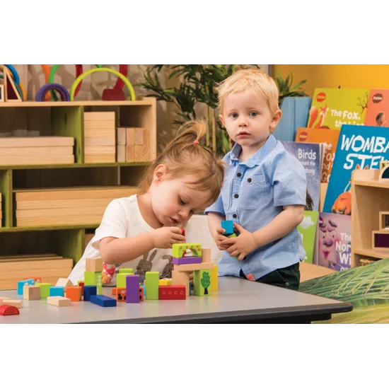 Farm Wooden Blocks Set - 50 Pieces - Modern Teaching Aids NZ