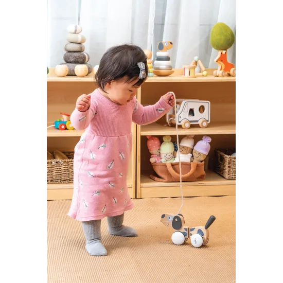Pull Along Puppy - Grey Tones - Modern Teaching Aids NZ