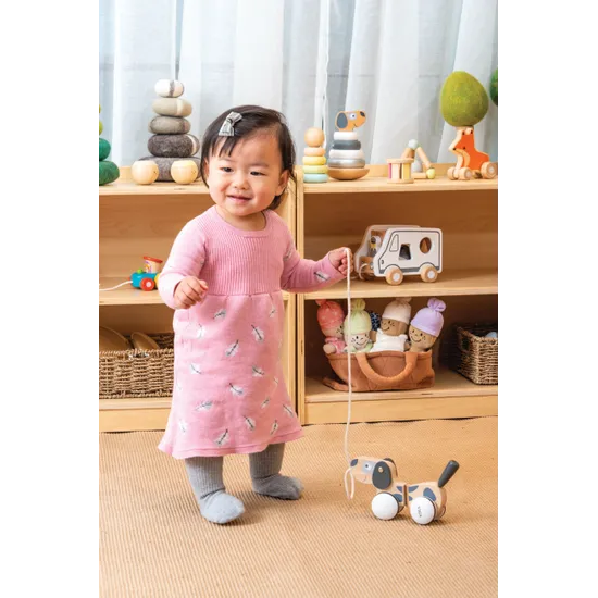 Pull Along Puppy - Grey Tones - Modern Teaching Aids NZ