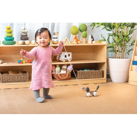 Pull Along Puppy - Grey Tones - Modern Teaching Aids NZ