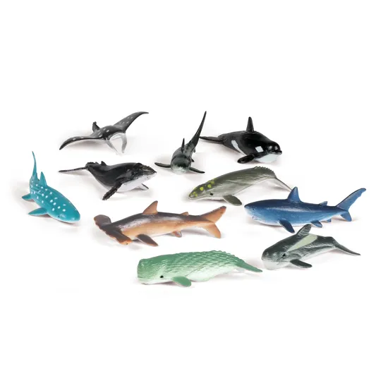 Ocean Counters - Set of 50 - Modern Teaching Aids NZ