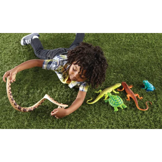 Jumbo Reptiles & Amphibians - Modern Teaching Aids NZ