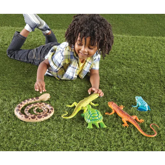 Jumbo Reptiles & Amphibians - Modern Teaching Aids NZ