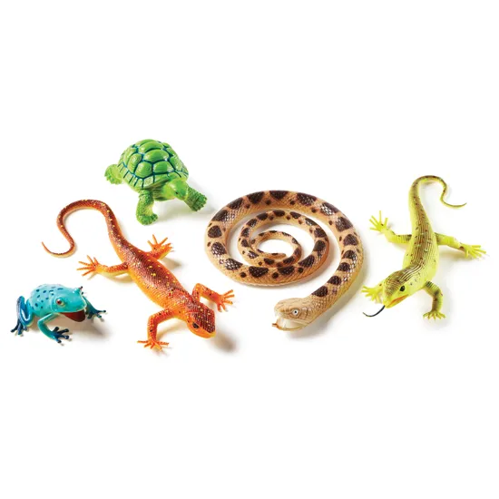 Jumbo Reptiles & Amphibians - Modern Teaching Aids NZ