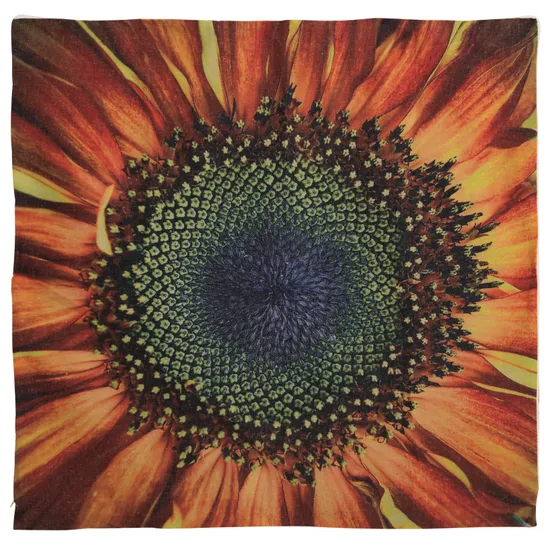 Sunflower Outdoor Cushion - 100cm x 100cm - Modern Teaching Aids NZ