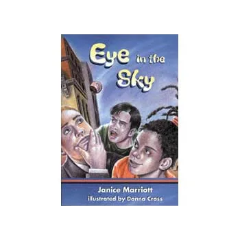 Eye in the Sky Level 31 - Modern Teaching Aids NZ