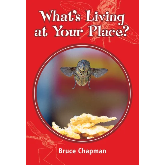 What's Living at Your Place? - Level 25-26 - Modern Teaching Aids NZ