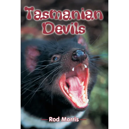 Tasmanian Devils - Level 25-26 - Modern Teaching Aids NZ
