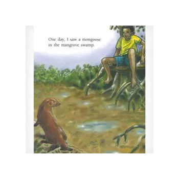 A Mongoose Tale Level 15-16 - Modern Teaching Aids NZ