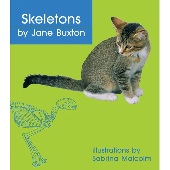 Skeletons - Level 9-11 - Modern Teaching Aids NZ