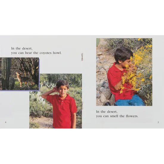 In the Desert Level 6-8 - Modern Teaching Aids NZ