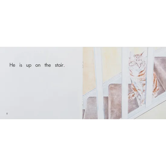 My Cat Levels 1-2 - Modern Teaching Aids NZ