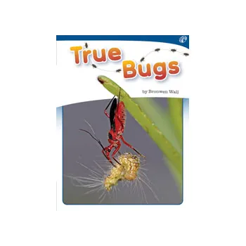 True Bugs Levles 9-11 - Modern Teaching Aids NZ