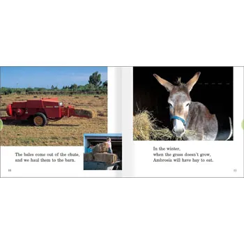 Hay for Ambrosia Level 12-14 - Modern Teaching Aids NZ