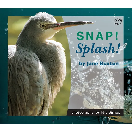 Snap! Splash! Level 9-11 - Modern Teaching Aids NZ