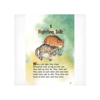Cat Talk Level 23-24 - Modern Teaching Aids NZ