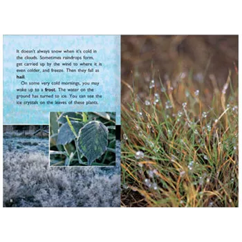 The Shapes of Water Level 23-24 - Modern Teaching Aids NZ