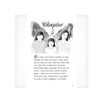 The Bird in the Basket Level 23-24 - Modern Teaching Aids NZ