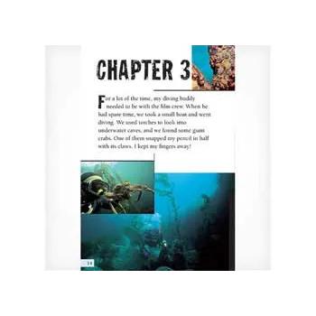 Searching for Sea Lions Level 25-26 - Modern Teaching Aids NZ