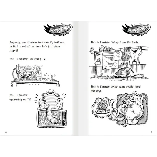 Ask Einstein! Level 25-26 - Modern Teaching Aids NZ