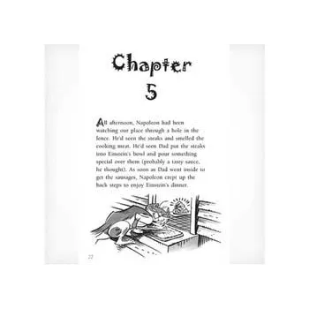 Einstein - Champion of the World Level 25-26 - Modern Teaching Aids NZ