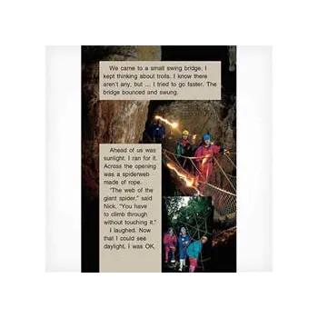 Wildbird - Modern Teaching Aids NZ